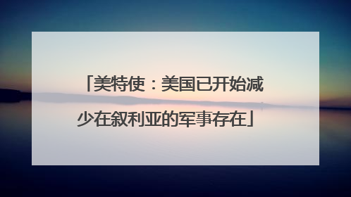 美特使：美国已开始减少在叙利亚的军事存在