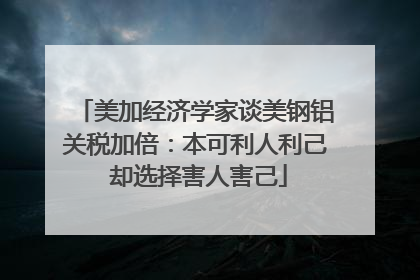 美加经济学家谈美钢铝关税加倍：本可利人利己 却选择害人害己