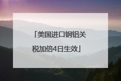 美国进口钢铝关税加倍4日生效