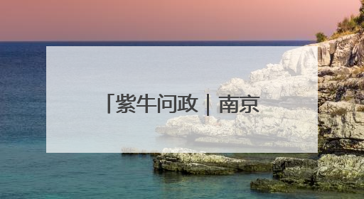 紫牛问政｜南京的这条路缘何留了200米不种树
