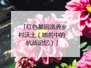 红色基因滋养乡村沃土（地名中的抗战记忆）