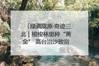 绿满陇原·奇迹三北｜梭梭林里种“黄金” 高台治沙致富很“从容”