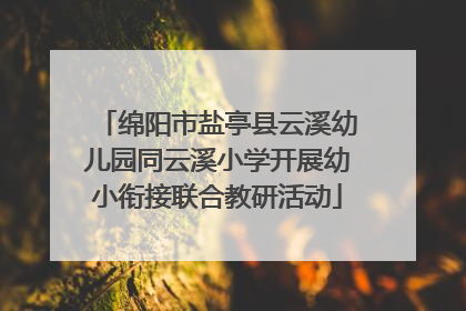 绵阳市盐亭县云溪幼儿园同云溪小学开展幼小衔接联合教研活动