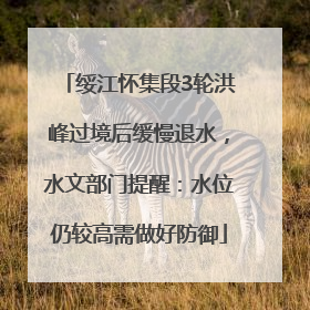 绥江怀集段3轮洪峰过境后缓慢退水，水文部门提醒：水位仍较高需做好防御