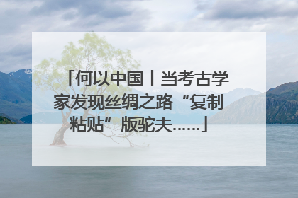 何以中国丨当考古学家发现丝绸之路“复制粘贴”版驼夫……