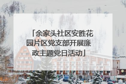 余家头社区安胜花园片区党支部开展廉政主题党日活动