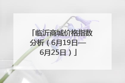 临沂商城价格指数分析（6月19日—6月25日）