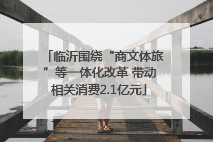 临沂围绕“商文体旅”等一体化改革 带动相关消费2.1亿元