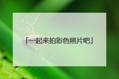 一起来拍彩色照片吧