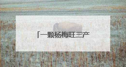 一颗杨梅旺三产，钟祥长滩四季采摘带给游客“舌尖上的惊喜”