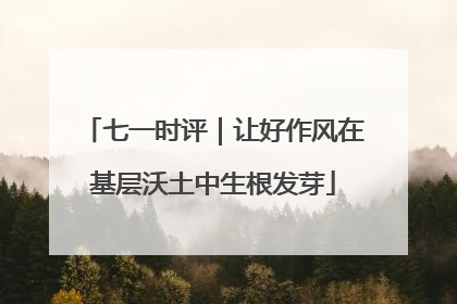 七一时评｜让好作风在基层沃土中生根发芽