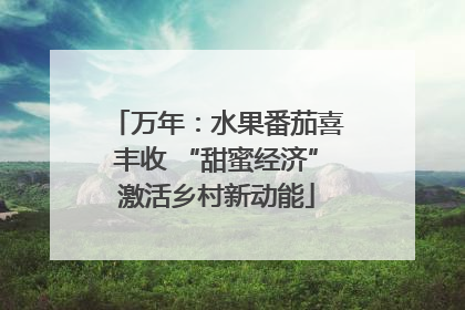 万年：水果番茄喜丰收 “甜蜜经济”激活乡村新动能