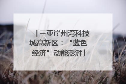 三亚崖州湾科技城高新区：“蓝色经济”动能澎湃