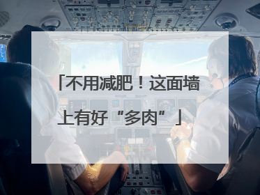 不用减肥！这面墙上有好“多肉”