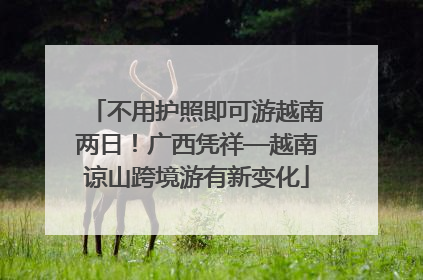不用护照即可游越南两日！广西凭祥—越南谅山跨境游有新变化