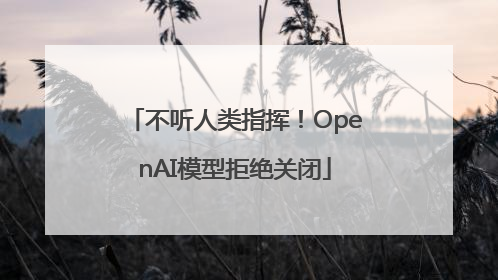 不听人类指挥！OpenAI模型拒绝关闭