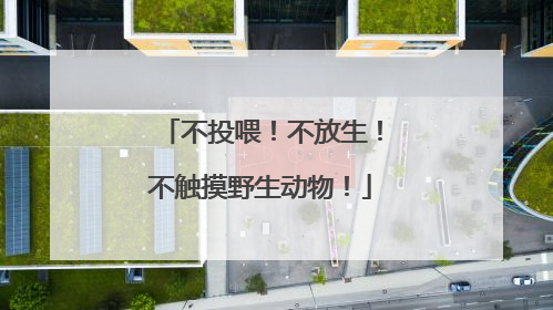 不投喂！不放生！不触摸野生动物！