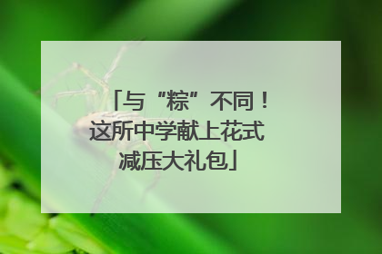 与“粽”不同！这所中学献上花式减压大礼包