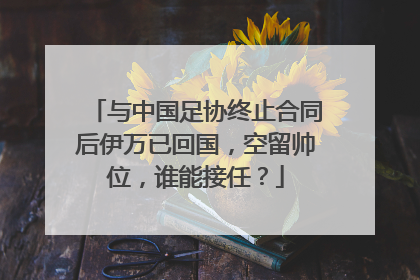 与中国足协终止合同后伊万已回国，空留帅位，谁能接任？