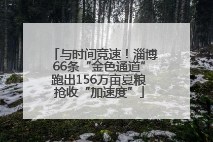 与时间竞速！淄博66条“金色通道”跑出156万亩夏粮抢收“加速度”