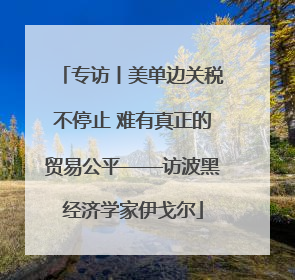 专访丨美单边关税不停止 难有真正的贸易公平——访波黑经济学家伊戈尔