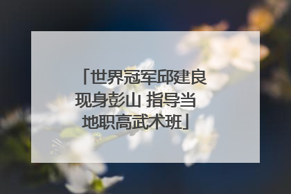 世界冠军邱建良现身彭山 指导当地职高武术班