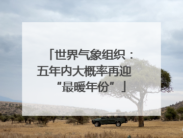 世界气象组织：五年内大概率再迎“最暖年份”