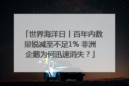 世界海洋日丨百年内数量锐减至不足1% 非洲企鹅为何迅速消失？