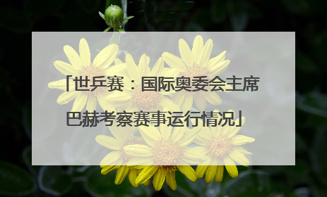 世乒赛：国际奥委会主席巴赫考察赛事运行情况