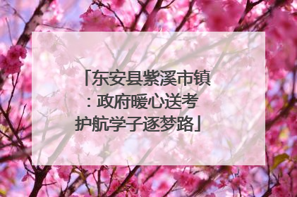 东安县紫溪市镇：政府暖心送考 护航学子逐梦路