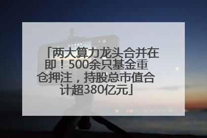 两大算力龙头合并在即！500余只基金重仓押注，持股总市值合计超380亿元