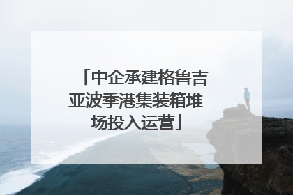 中企承建格鲁吉亚波季港集装箱堆场投入运营