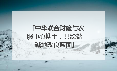 中华联合财险与农服中心携手，共绘盐碱地改良蓝图