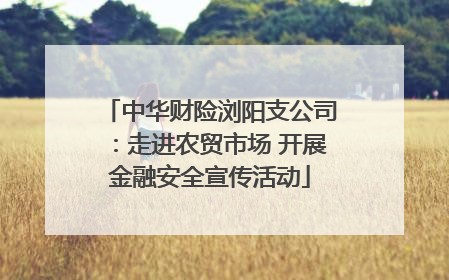 中华财险浏阳支公司：走进农贸市场 开展金融安全宣传活动
