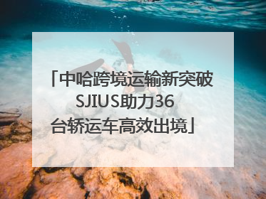 中哈跨境运输新突破 SJIUS助力36台轿运车高效出境