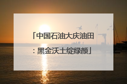 中国石油大庆油田：黑金沃土绽绿颜