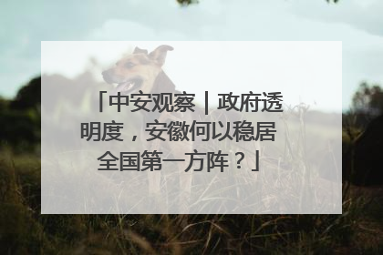 中安观察｜政府透明度，安徽何以稳居全国第一方阵？