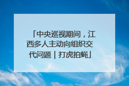 中央巡视期间，江西多人主动向组织交代问题｜打虎拍蝇