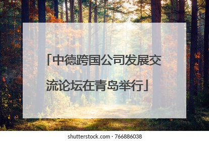 中德跨国公司发展交流论坛在青岛举行