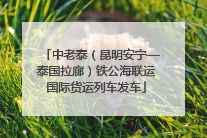 中老泰（昆明安宁—泰国拉廊）铁公海联运国际货运列车发车