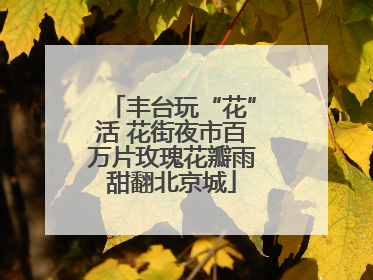 丰台玩“花”活 花街夜市百万片玫瑰花瓣雨甜翻北京城