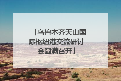 乌鲁木齐天山国际枢纽港交流研讨会圆满召开