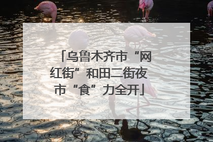 乌鲁木齐市“网红街”和田二街夜市“食”力全开