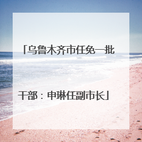 乌鲁木齐市任免一批干部：申琳任副市长