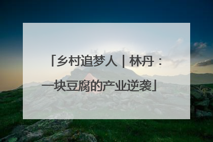 乡村追梦人｜林丹：一块豆腐的产业逆袭