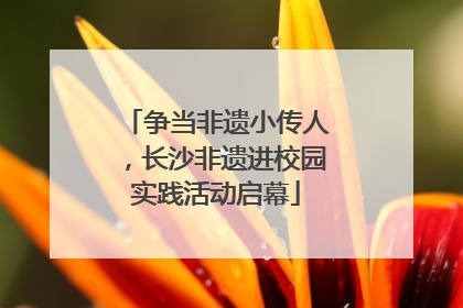 争当非遗小传人，长沙非遗进校园实践活动启幕