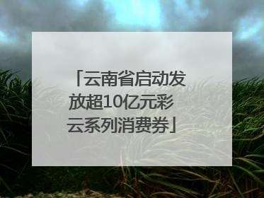 云南省启动发放超10亿元彩云系列消费券