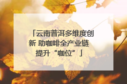 云南普洱多维度创新 助咖啡全产业链提升“咖位”