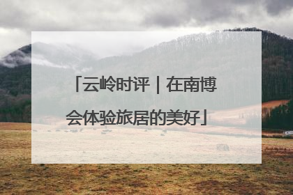 云岭时评｜在南博会体验旅居的美好
