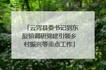 云霄县委书记到东厦镇调研党建引领乡村振兴等重点工作